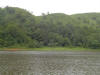 Periyar Lake inside Tiger Reserve-Thekkady