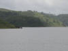 A herd of elephants in the Periyar Lake inside Tiger Reserve-Thekkady
