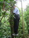 Climbing the natural bamboo ladder in the spice plantation- Thekkady