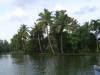 Allepey Backwaters